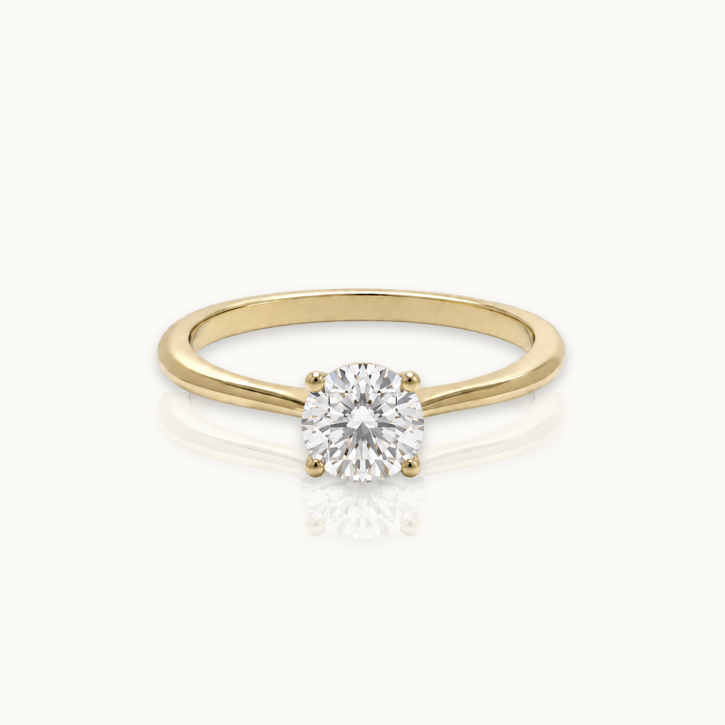 Forever Together 0.5ct - 14k gouden diamanten ring