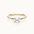 Forever Together 0.5ct - 14k gouden diamanten ring